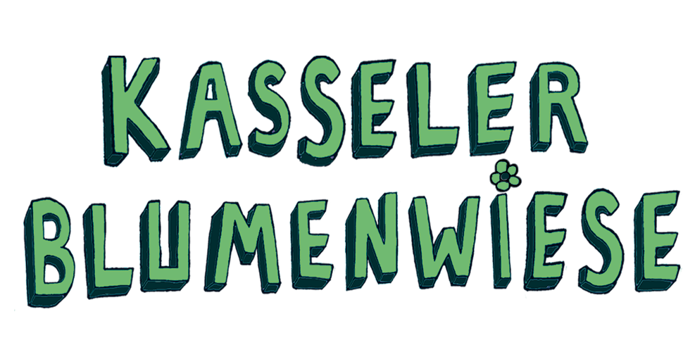 Kasseler Blumenwiese