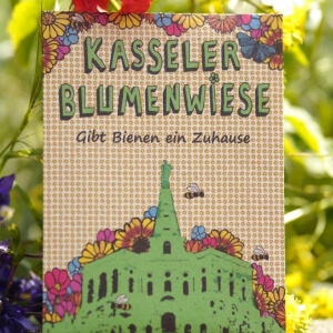 Kasseler Blumenwiese Samentüte mit Blüten für 1 qm