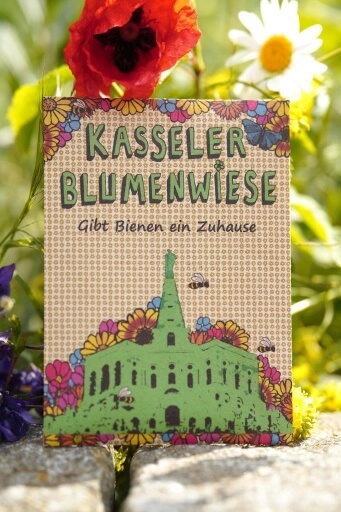 Kasseler Blumenwiese Samentüte mit Blüten für 1 qm